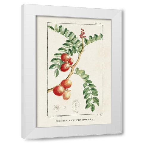 Turpin Tropical Botanicals III White Modern Wood Framed Art Print by Turpin