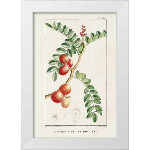 Turpin Tropical Botanicals III White Modern Wood Framed Art Print by Turpin