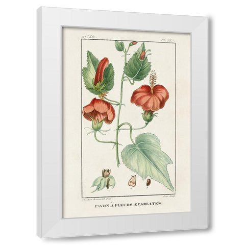 Turpin Tropical Botanicals IV White Modern Wood Framed Art Print by Turpin