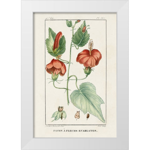 Turpin Tropical Botanicals IV White Modern Wood Framed Art Print by Turpin