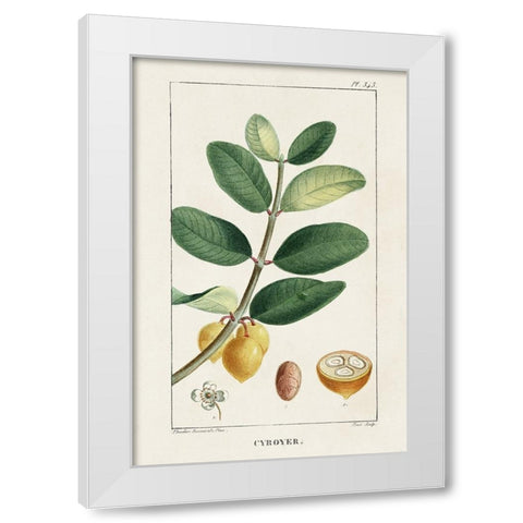 Turpin Tropical Botanicals V White Modern Wood Framed Art Print by Turpin