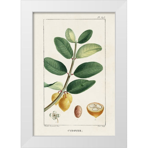Turpin Tropical Botanicals V White Modern Wood Framed Art Print by Turpin