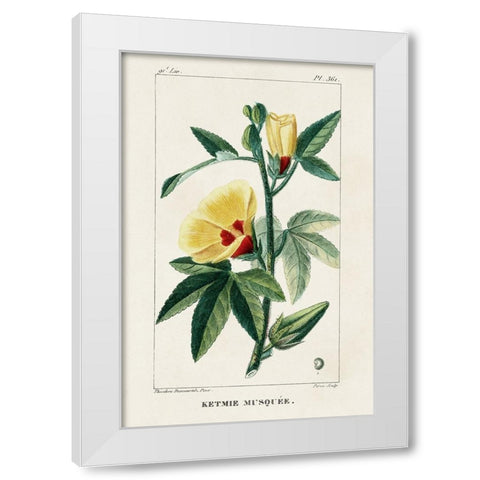 Turpin Tropical Botanicals VI White Modern Wood Framed Art Print by Turpin