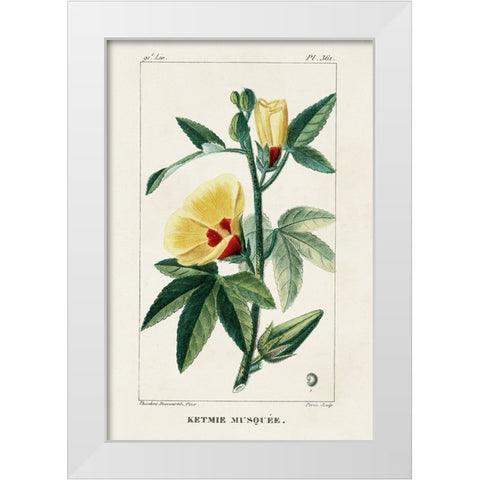 Turpin Tropical Botanicals VI White Modern Wood Framed Art Print by Turpin