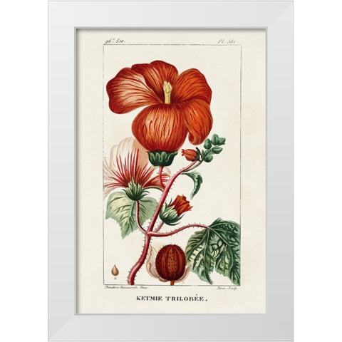 Turpin Tropical Botanicals VII White Modern Wood Framed Art Print by Turpin