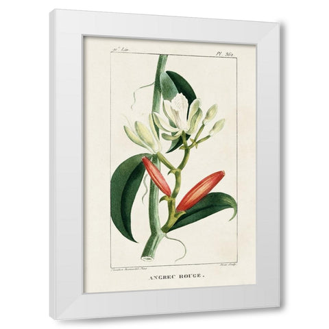 Turpin Tropical Botanicals IX White Modern Wood Framed Art Print by Turpin