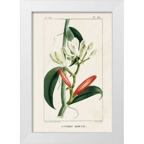 Turpin Tropical Botanicals IX White Modern Wood Framed Art Print by Turpin