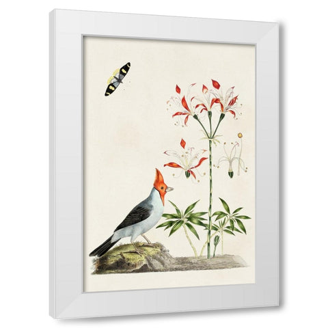 Bird in Habitat I White Modern Wood Framed Art Print by Unknown