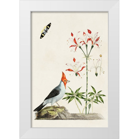 Bird in Habitat I White Modern Wood Framed Art Print by Unknown