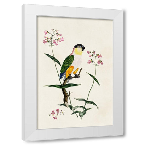 Bird in Habitat IV White Modern Wood Framed Art Print by Unknown