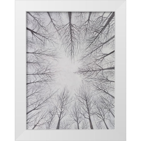 Deciduous Canopy I White Modern Wood Framed Art Print by Willett, Michael