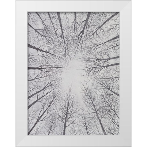 Deciduous Canopy II White Modern Wood Framed Art Print by Willett, Michael