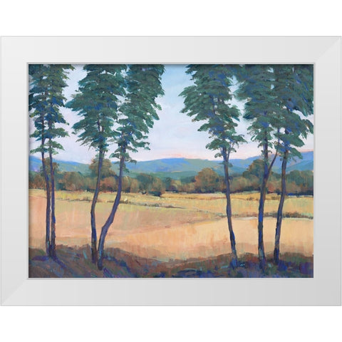 Still Morning II White Modern Wood Framed Art Print by OToole, Tim