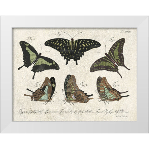 Crackled Butterflies II White Modern Wood Framed Art Print by Vision Studio