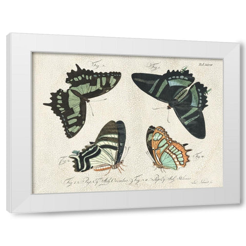 Crackled Butterflies III White Modern Wood Framed Art Print by Vision Studio