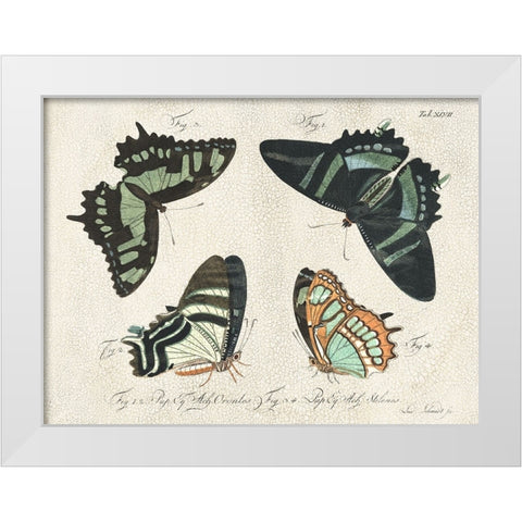 Crackled Butterflies III White Modern Wood Framed Art Print by Vision Studio