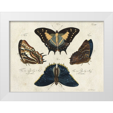 Crackled Butterflies IV White Modern Wood Framed Art Print by Vision Studio