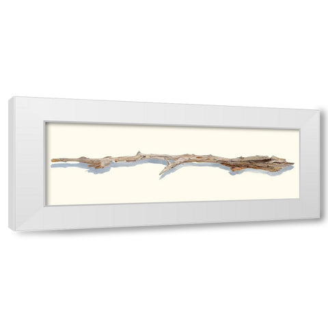 Driftwood Study I White Modern Wood Framed Art Print by Willett, Michael