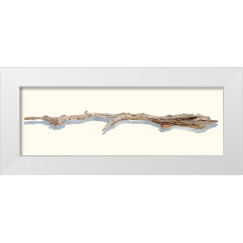 Driftwood Study I White Modern Wood Framed Art Print by Willett, Michael