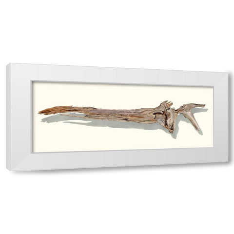 Driftwood Study II White Modern Wood Framed Art Print by Willett, Michael