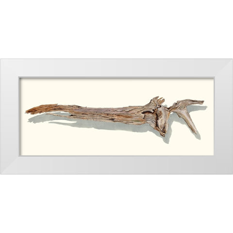 Driftwood Study II White Modern Wood Framed Art Print by Willett, Michael