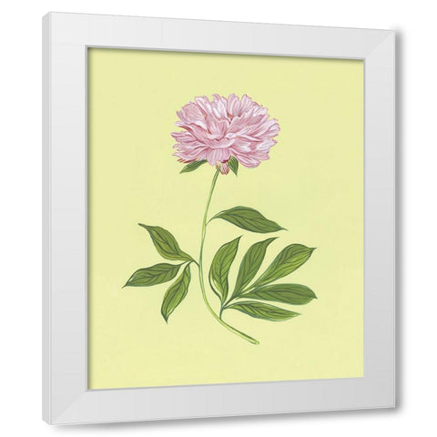 Peonies in Yellow I White Modern Wood Framed Art Print by Marr, Laura
