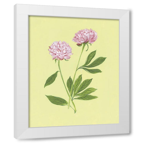 Peonies in Yellow II White Modern Wood Framed Art Print by Marr, Laura