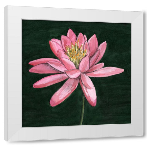 Pink Waterlily I White Modern Wood Framed Art Print by Longley, Alicia