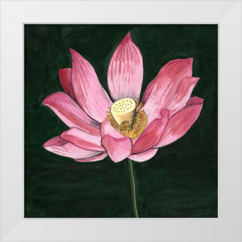 Pink Waterlily II White Modern Wood Framed Art Print by Longley, Alicia