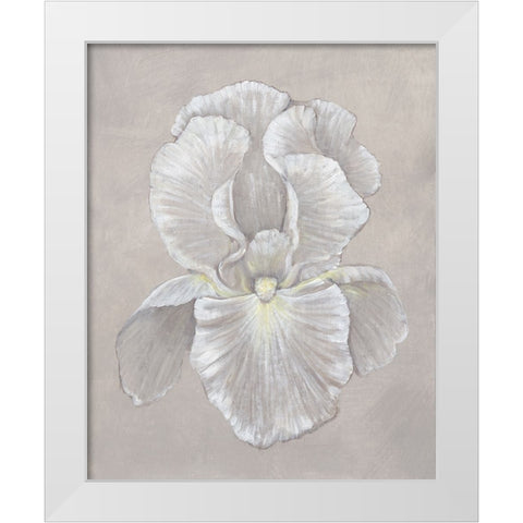 White Iris II White Modern Wood Framed Art Print by OToole, Tim