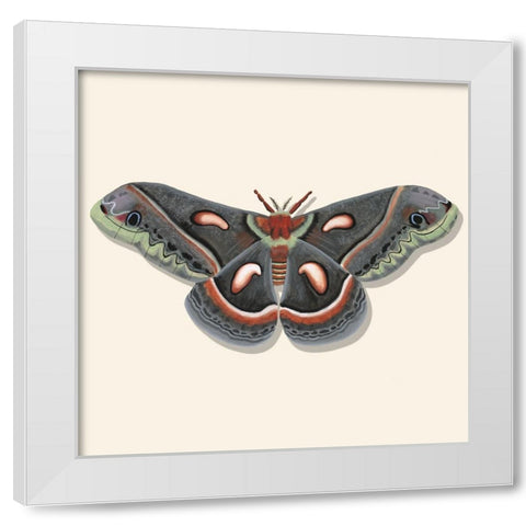Watercolor Moths III White Modern Wood Framed Art Print by Willett, Michael
