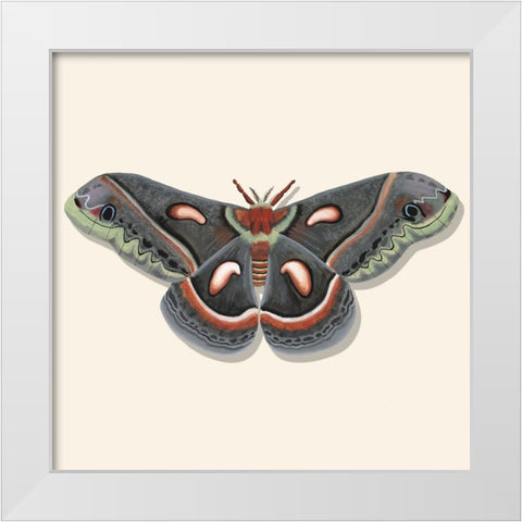 Watercolor Moths III White Modern Wood Framed Art Print by Willett, Michael