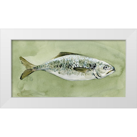 Green Sea Swimmer I White Modern Wood Framed Art Print by Caroline, Emma