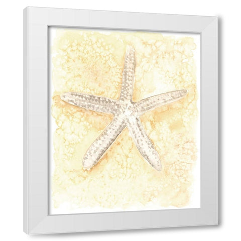 Salty Seashell I White Modern Wood Framed Art Print by Warren, Annie