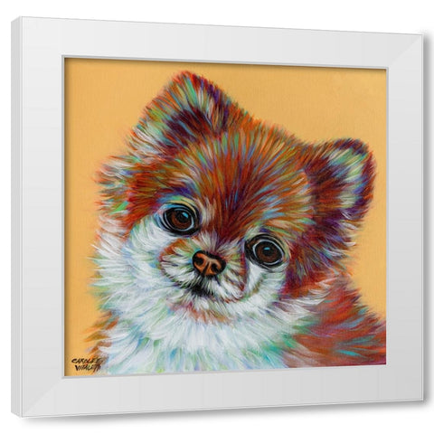 Colorful Pomeranian White Modern Wood Framed Art Print by Vitaletti, Carolee