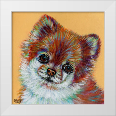 Colorful Pomeranian White Modern Wood Framed Art Print by Vitaletti, Carolee