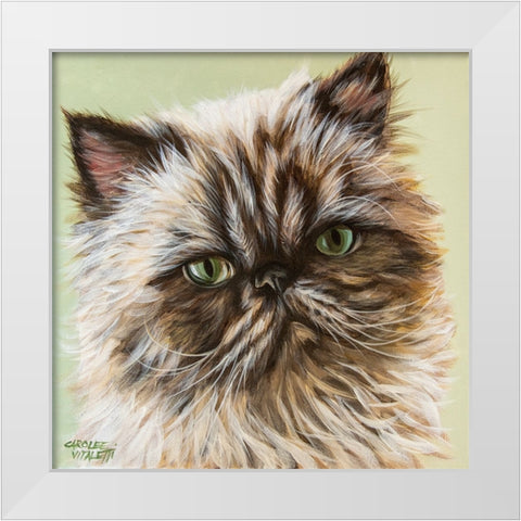 Persian Cat II White Modern Wood Framed Art Print by Vitaletti, Carolee