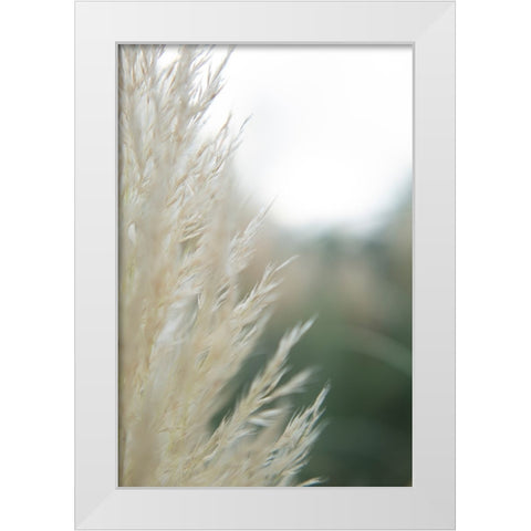 Subtle Grasses I White Modern Wood Framed Art Print by Johnson, Jason