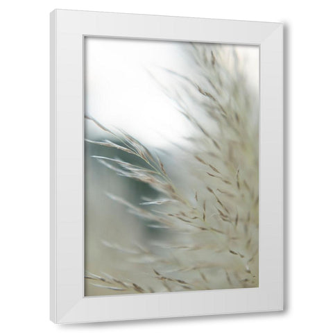 Subtle Grasses II White Modern Wood Framed Art Print by Johnson, Jason