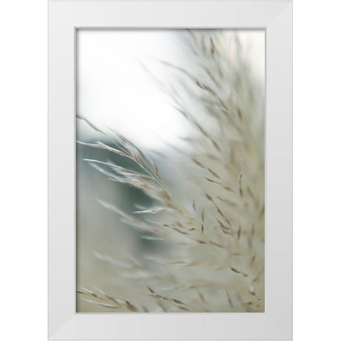 Subtle Grasses II White Modern Wood Framed Art Print by Johnson, Jason