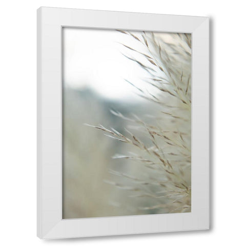 Subtle Grasses III White Modern Wood Framed Art Print by Johnson, Jason