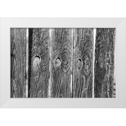 Found Textures II White Modern Wood Framed Art Print by Johnson, Jason