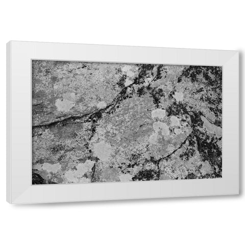 Found Textures XII White Modern Wood Framed Art Print by Johnson, Jason