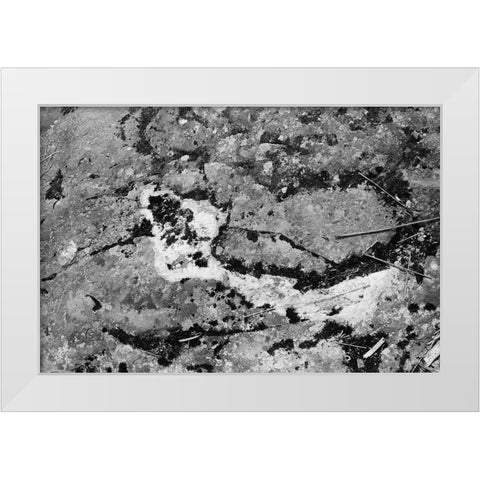 Found Textures XIV White Modern Wood Framed Art Print by Johnson, Jason