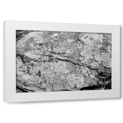 Found Textures XVI White Modern Wood Framed Art Print by Johnson, Jason