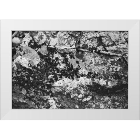 Found Textures XX White Modern Wood Framed Art Print by Johnson, Jason