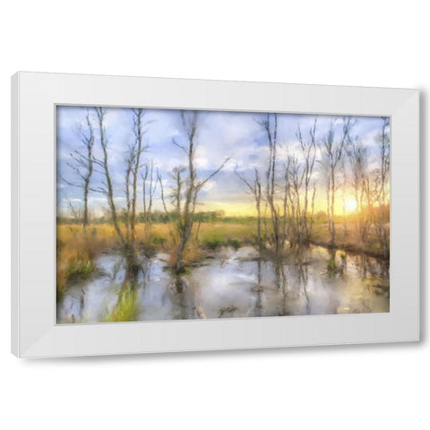Sunrise Swamp White Modern Wood Framed Art Print by Curinga, Kim