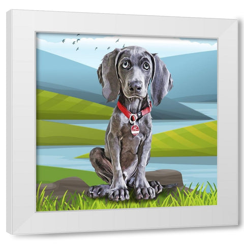 Baby Weimaraner White Modern Wood Framed Art Print by Curinga, Kim
