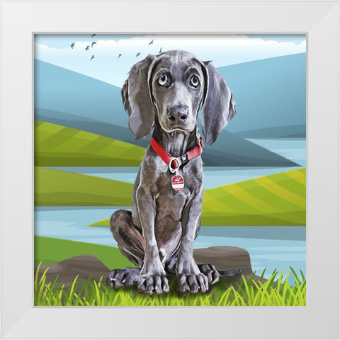 Baby Weimaraner White Modern Wood Framed Art Print by Curinga, Kim