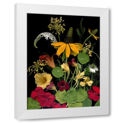 Flower Drama VII White Modern Wood Framed Art Print by Stalus, Judy